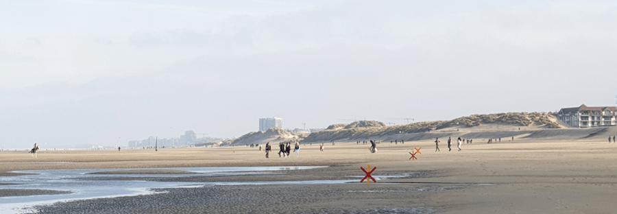 Albert Plage