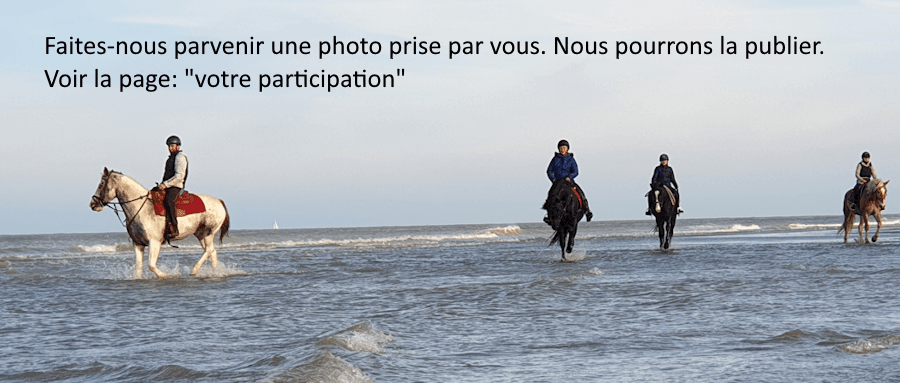 Plage de yyy